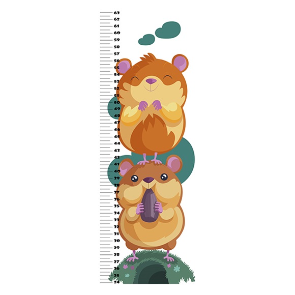 15 1 Growth Chart 5