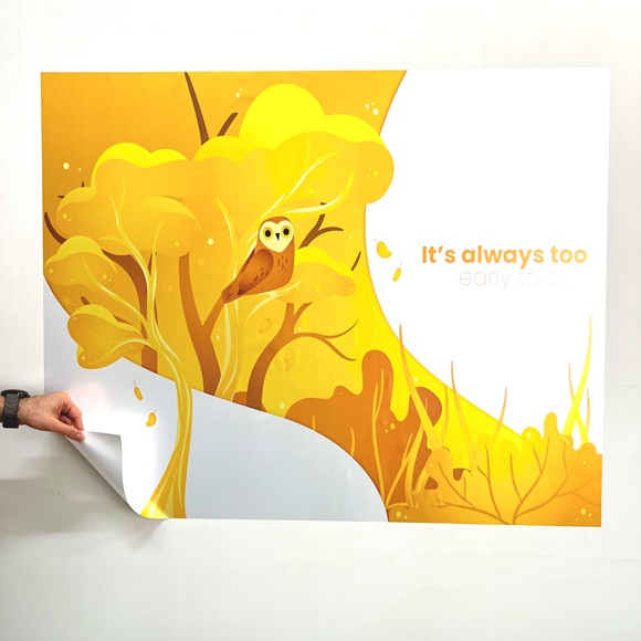 15 2 Personalized Boys and Girls Themed Wallpapers for Kids Rooms Model 1