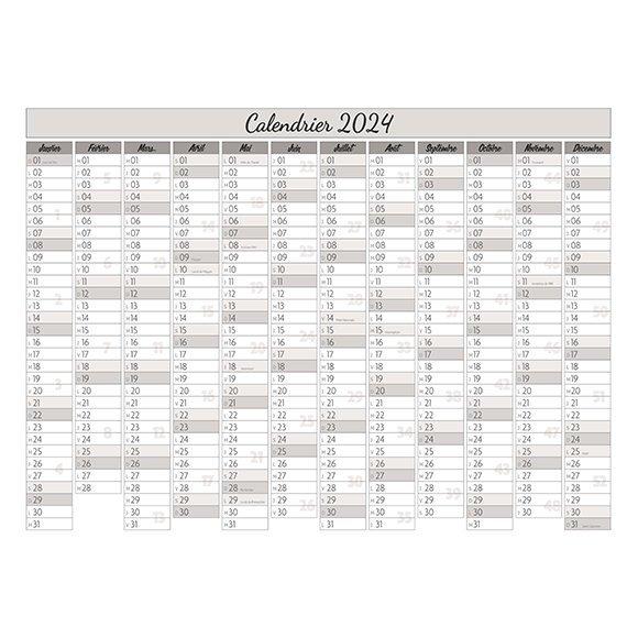 3 Annual French Planner